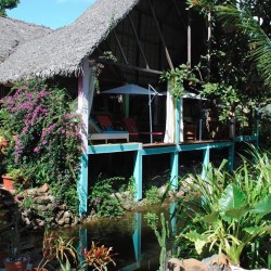 Casa en un bosque tropical en la Isla de Margarita