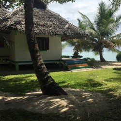 Casa en un bosque tropical en la Isla de Margarita